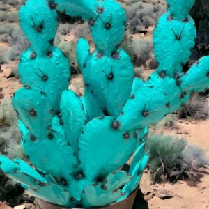 A cactus with blue flowers in it's pot.