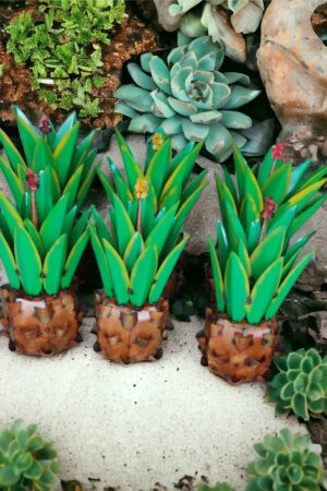 Three small plants are in a group on the ground.