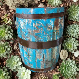 A blue barrel sitting in the middle of some plants.