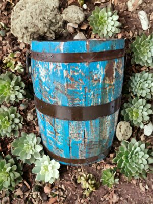 A blue barrel sitting in the middle of some plants.