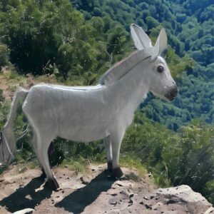 A goat standing on top of a mountain.